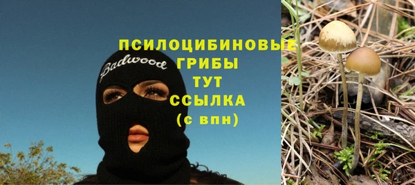 синтетический гашиш Вязьма