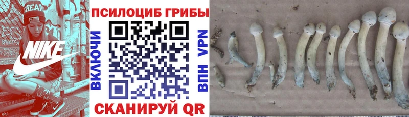 Псилоцибиновые грибы ЛСД купить цена Переславль-Залесский